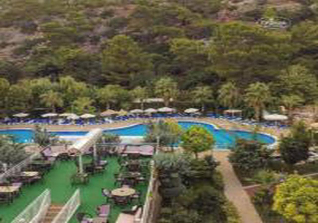 Miramor Hotel & Spa 안탈리아 외부 사진 The photo shows a scenic view of a resort area featuring a large swimming pool surrounded by lush greenery and trees. Sun loungers are arranged around the pool, and there are tables visible in a dining area. The pool has a curved shape and is complem